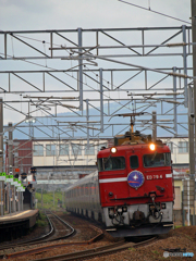 2015.09.09 今朝の8009ﾚ：静なる瞬間（とき）