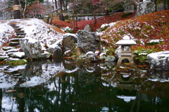 2013.11.30秋の終わり(5)