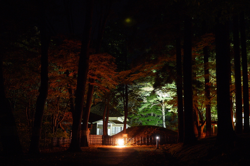 2013.11.4 道南の紅葉(25)