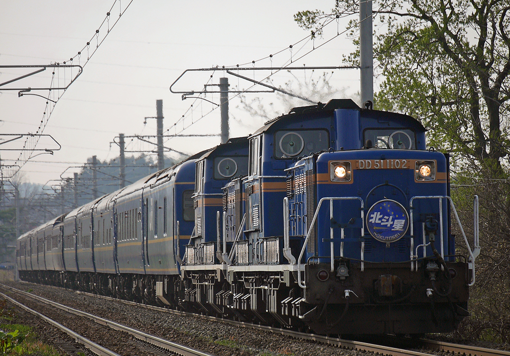 2015.05.01 今朝の8007ﾚ：厳粛な長兄が往く