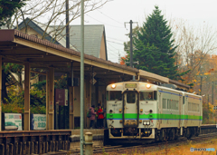 2016.11.05 秋雨（しぐれ）の季(9)：秋の大沼公園駅