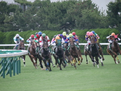 2014.07.19 JRA(10)