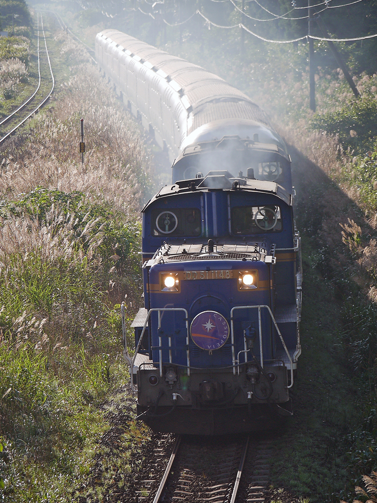 2014.09.13 煌めく逆光の中を