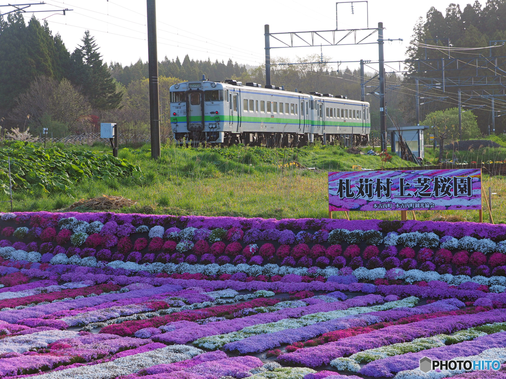 2017.05.07 始発列車と芝桜(^^♪