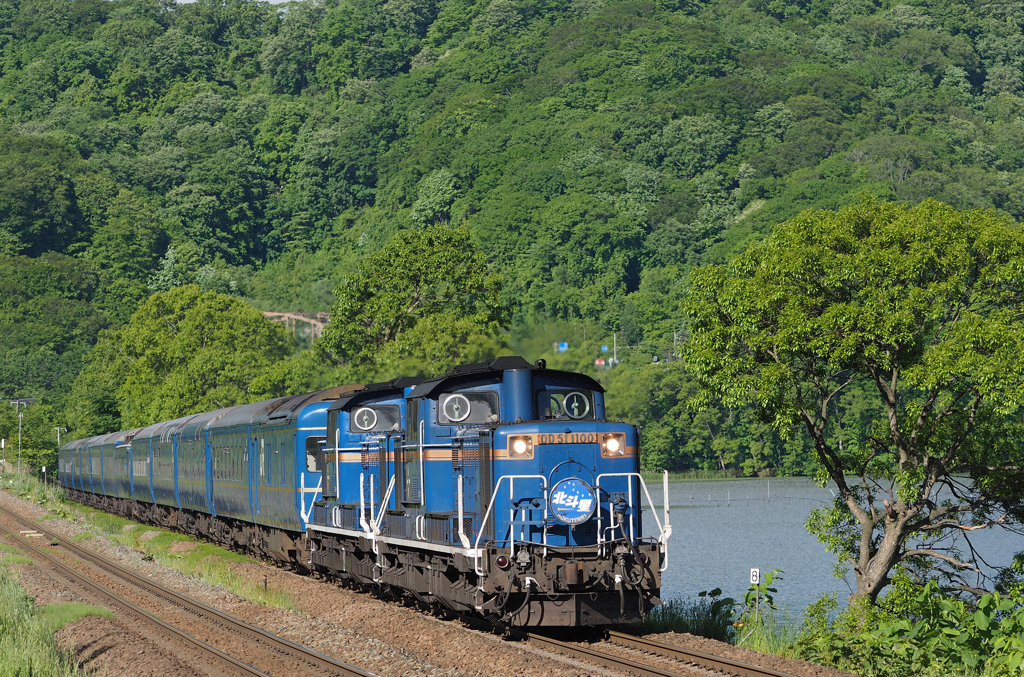 2015.06.05 今朝の8007ﾚ：新緑の大沼湖畔を往く