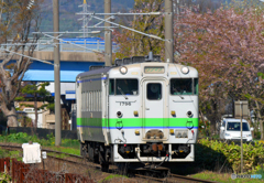 2016.05.08 桜列車を追って＾＾