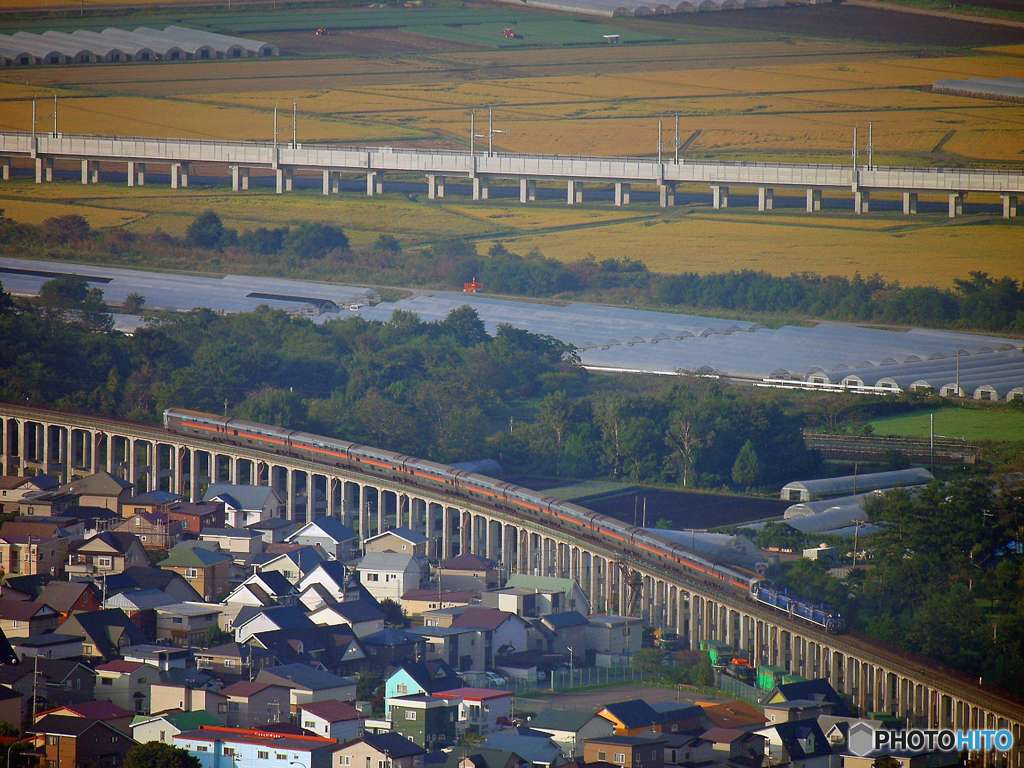 2015.09.23 昨日の8009ﾚ：黄金色の稲穂をバックに♪