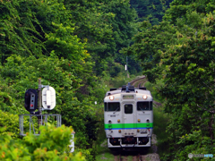 2016.07.09 長距離列車
