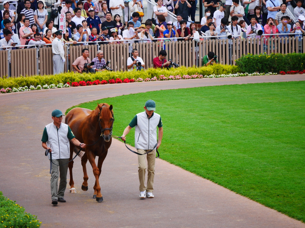 2014.07.19 JRA(16)