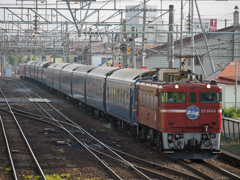 2015.05.26 今朝の8007ﾚ：今日も近場でパチリ（１）