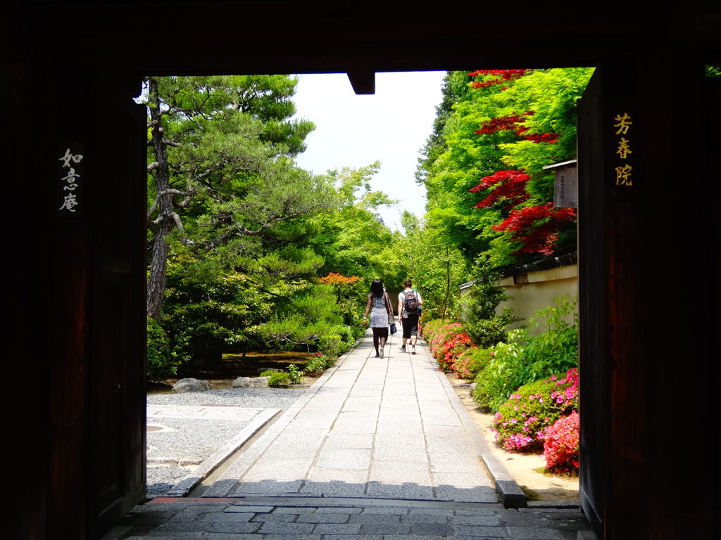 2014.05.31 そうだ 京都、行こう(16)