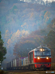 2015.11.03 鉄道日和(3)