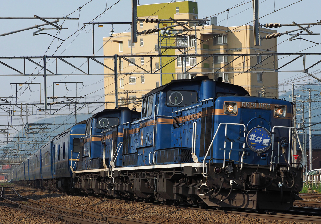 2015.05.26 今朝の8007ﾚ：今日も近場でパチリ（２）