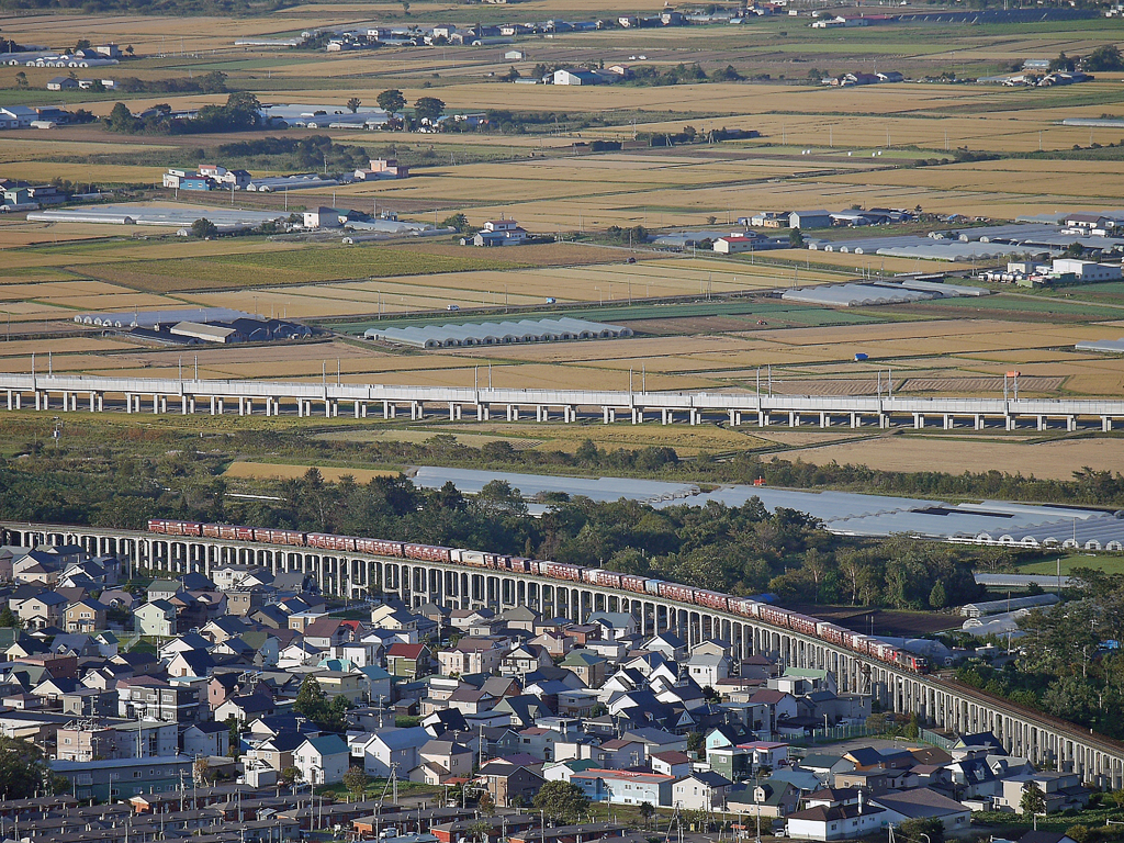 2014.09.26 秋の平野と貨物列車
