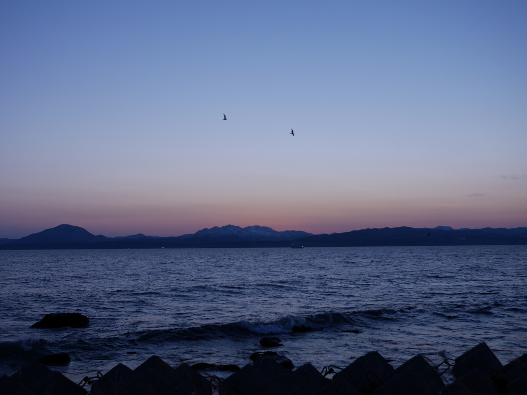 2014.04.08 湾岸散歩(3)