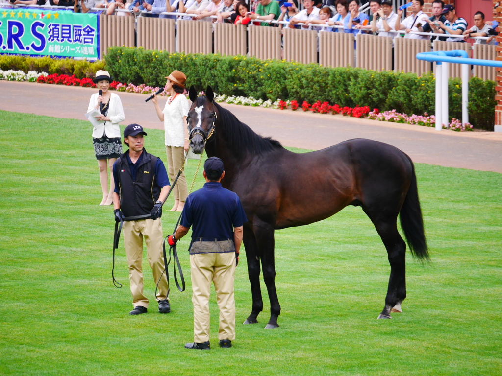 2014.07.19 JRA(15)