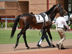 2014.06.28 JRA(7)