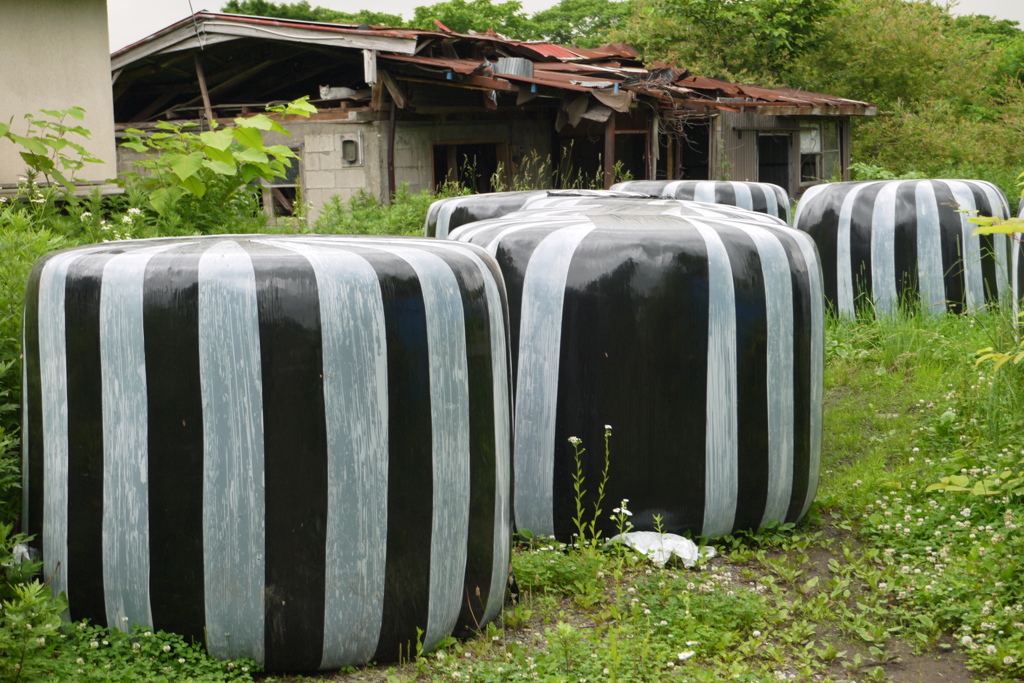 白黒模様の牧草ロール
