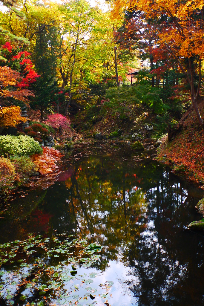 2013.11.4 道南の紅葉(7)
