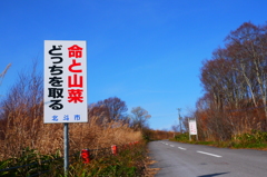 2013.11.9 道南の紅葉(1)