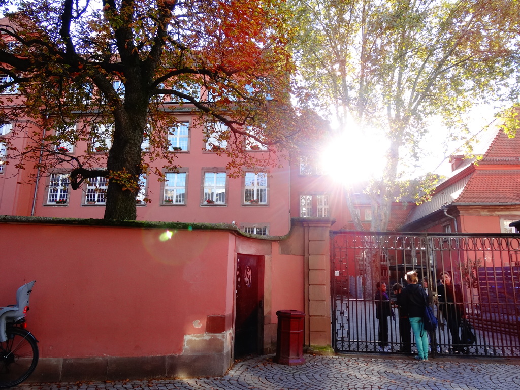retourner voir Strasbourg(42)