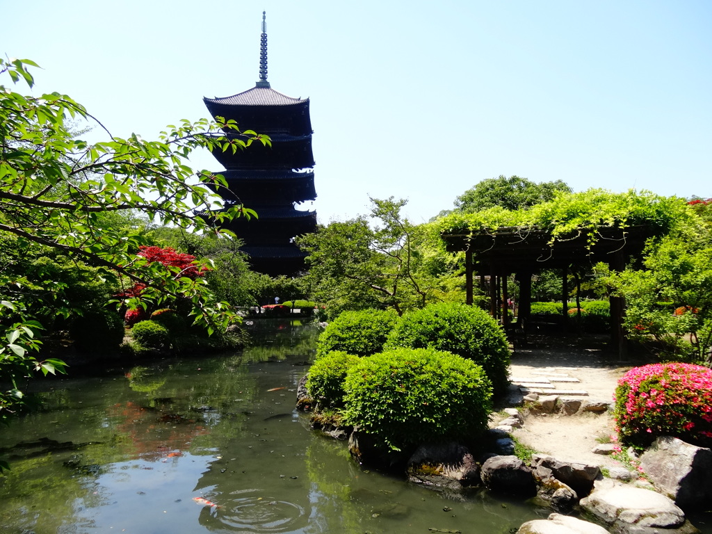 2014.06.01 そうだ 京都、行こう(49)