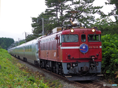 2015.06.24 今朝の8009ﾚ：一直線＾＾