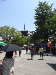 2014.06.01 そうだ 京都、行こう(48)