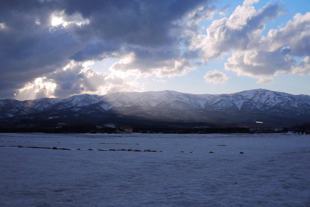 2014.04.05 蘭越冬景(4)