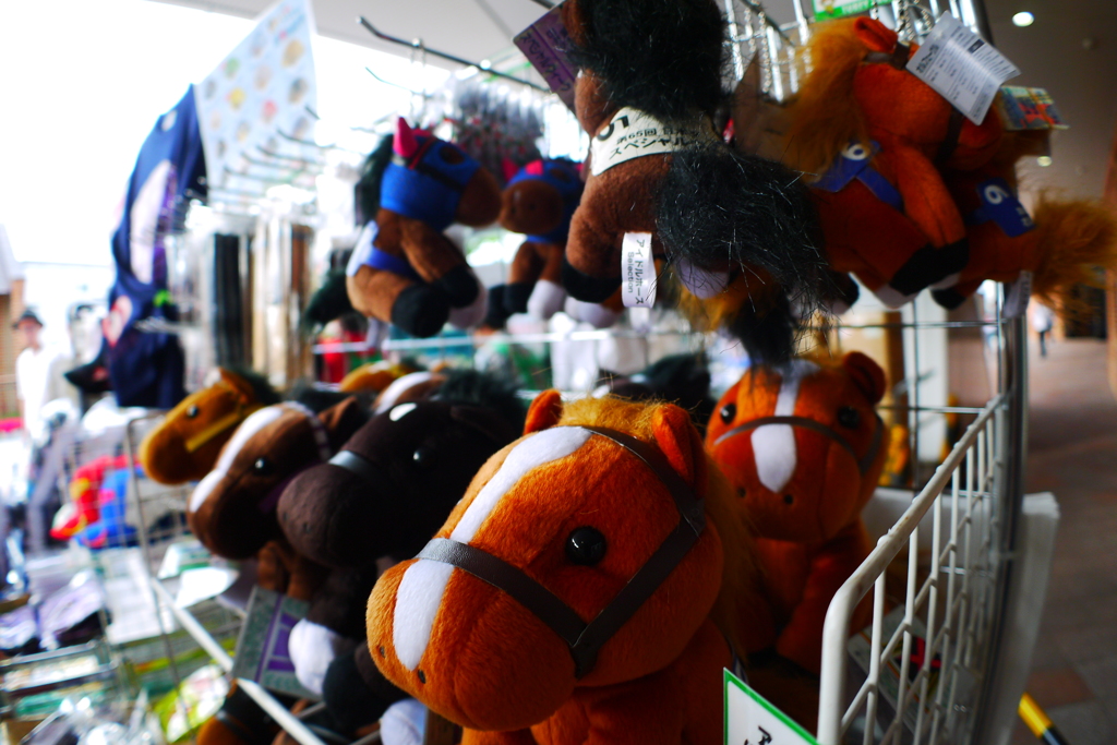 2014.07.19 JRA(6)