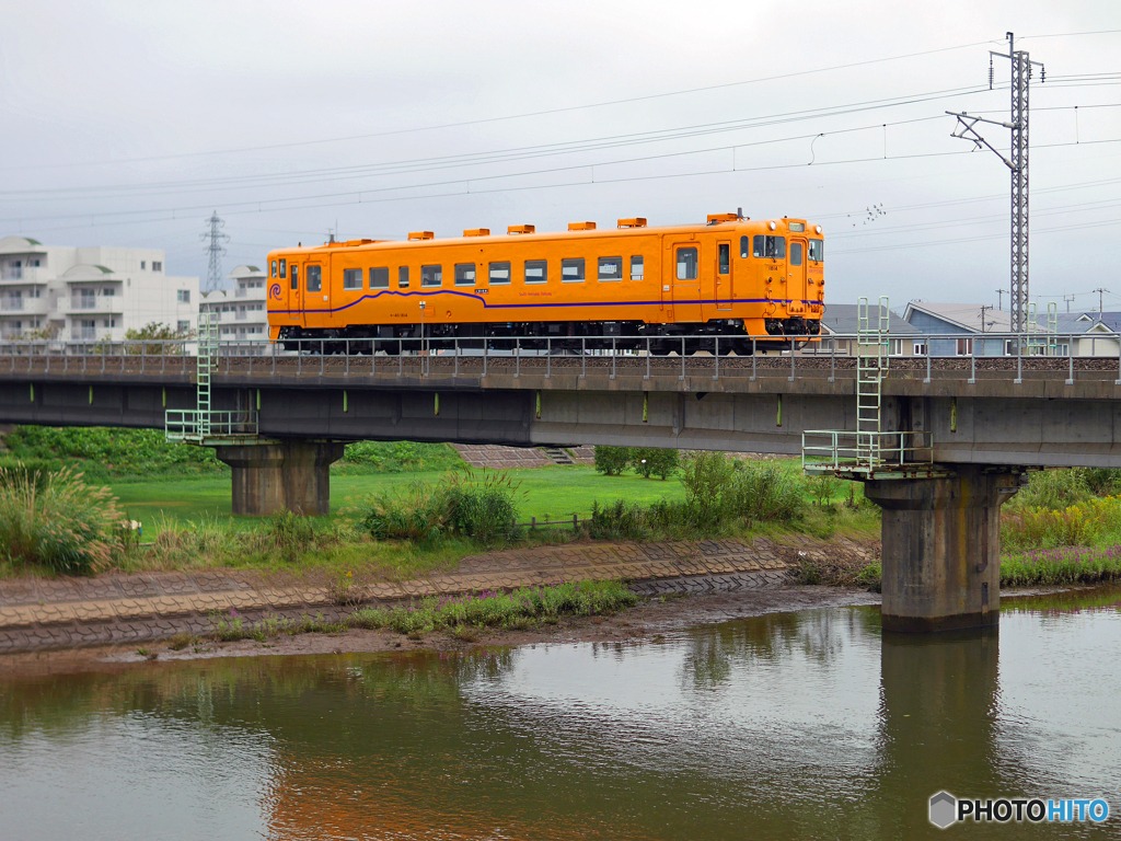 2016.09.03 山吹カラー(2)