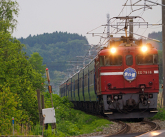 2015.06.09 今朝の8007ﾚ：レールを照らして