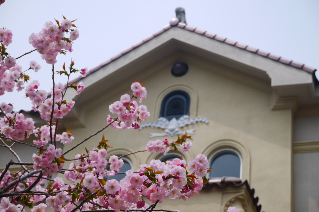 2014.05.03 明治１２年(1879年)創立の北海道初の公園(3)
