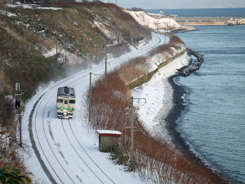 2015.01.18 真っ白なお顔(^^♪
