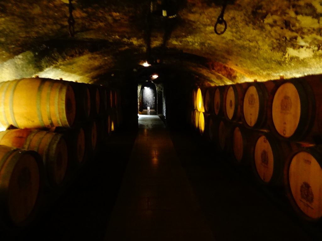 2013 Laplanche cave 『Pommard』(6)