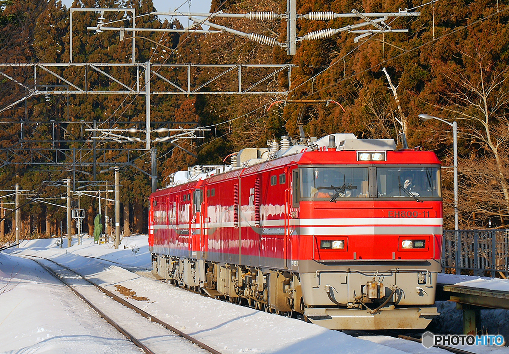 2016.02.28 甲種輸送：ＥＨ８００形１６号機(1)