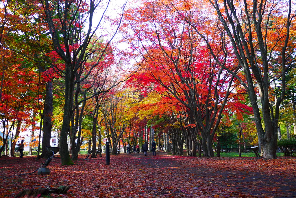 2013.11.4 道南の紅葉(9)