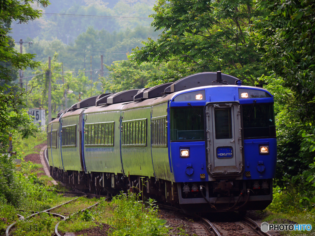 2016.06.19 タイガーカラー♪