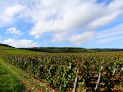 2013 VONSE-ROMANEE(3)