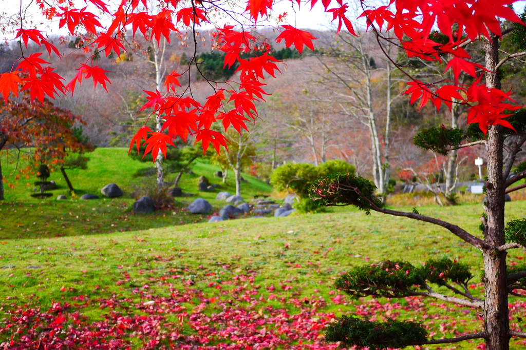 2013.11.9 道南の紅葉(15)