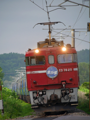 2015.06.19 今朝の8007ﾚ：太陽が垣間見えた朝に♪