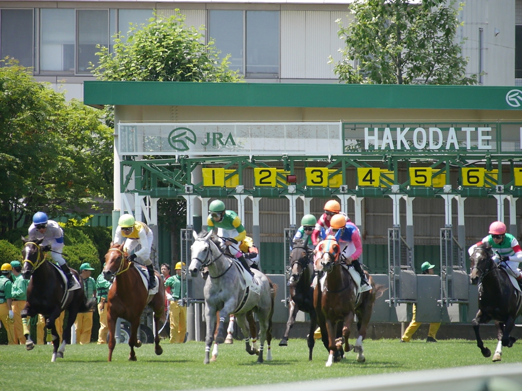 2014.06.28 JRA(12)
