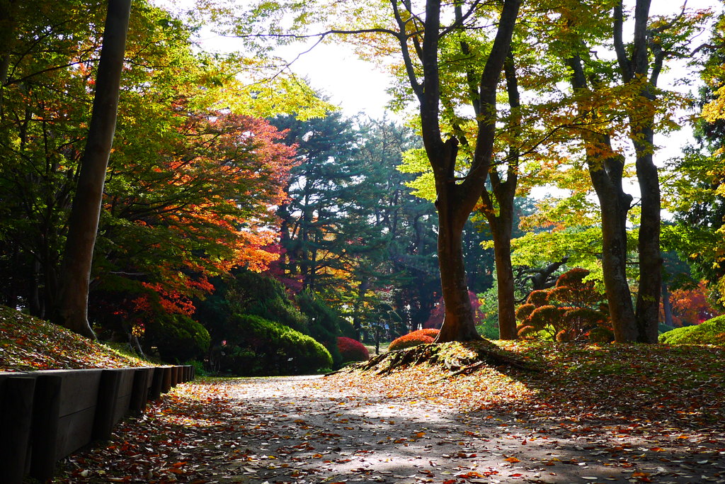 2013.11.4 道南の紅葉(8)
