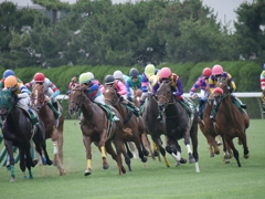 2014.07.19 JRA(20)