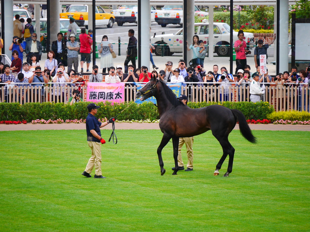 2014.07.19 JRA(14)