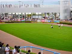 2014.07.19 JRA(13)
