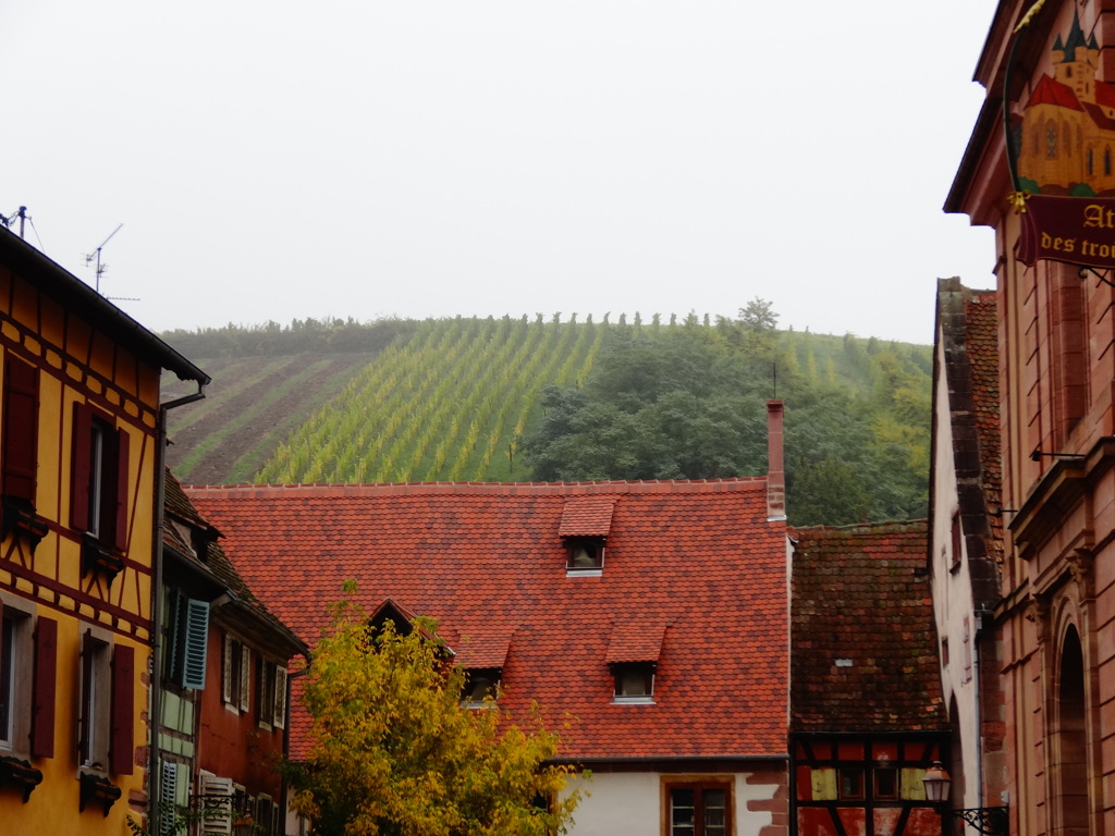 2013 la ville brouillard Riquewihr(19)