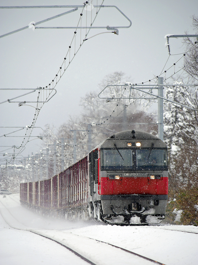 2015.02.11 雪が散らつく中を