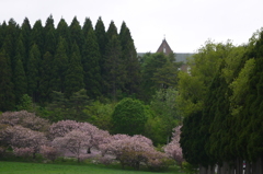 2014.05.24 函館巡禮・桜咲く頃(1)