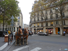 2015.10.23 ポルトガル・パリの旅(148)